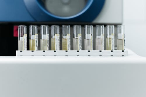 Test Tubes with Labels on a Rack