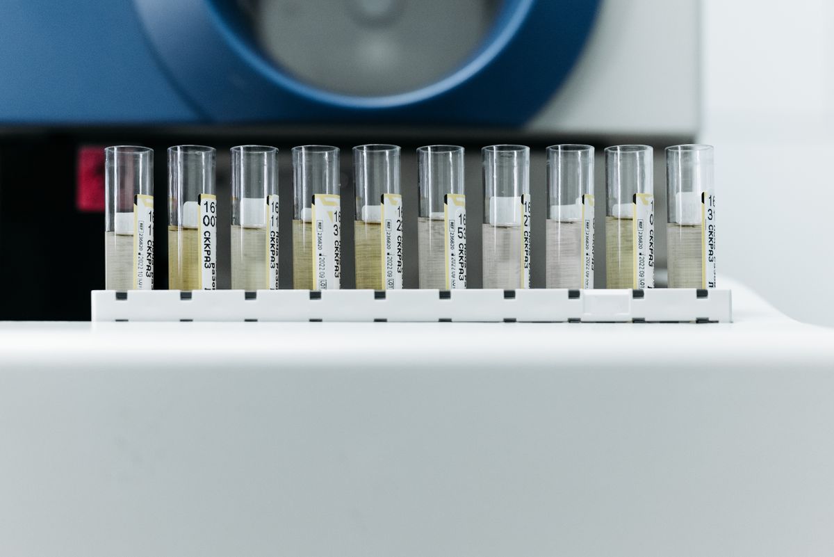 Row of labeled test tubes on a rack in a modern laboratory environment