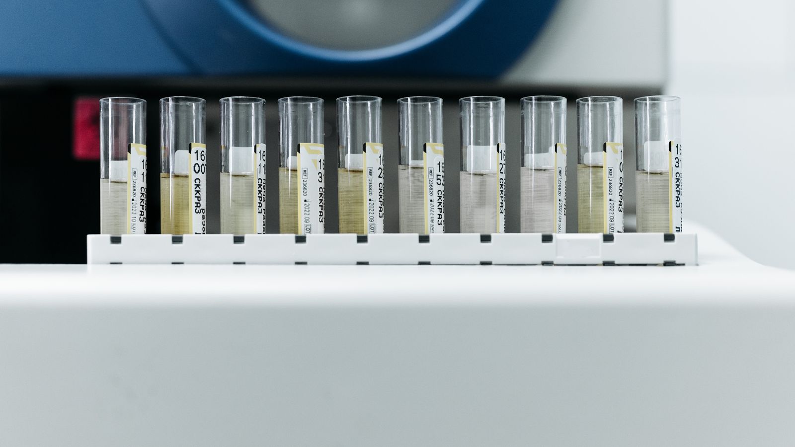 Row of labeled test tubes on a rack in a modern laboratory environment.