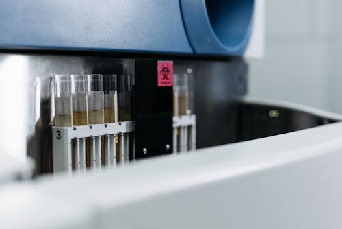 Test Tubes on a Rack