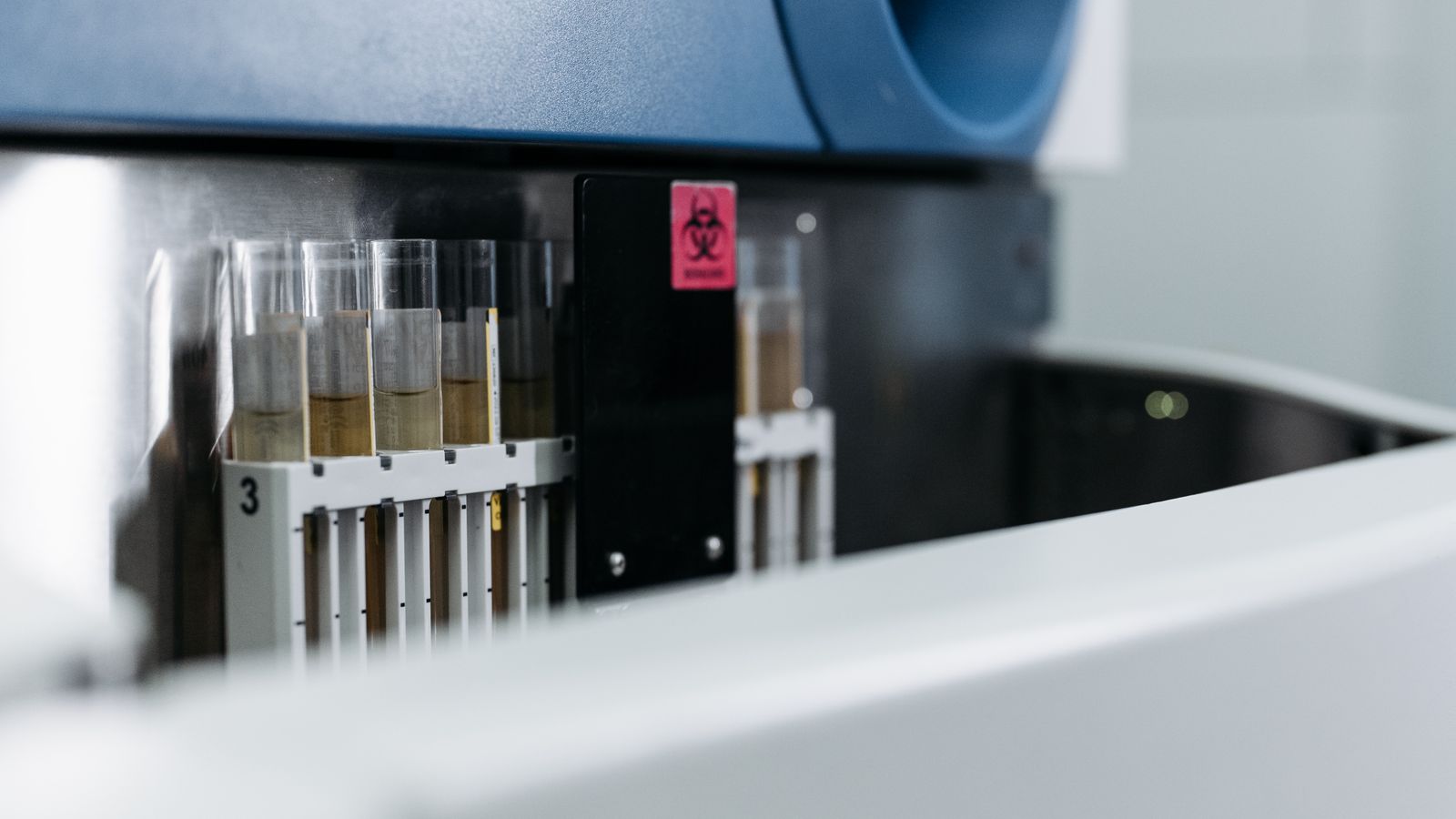 Test tubes on a rack in a laboratory, a real stock photo that echoes the blood-testing technology at the center of the Elizabeth Holmes story