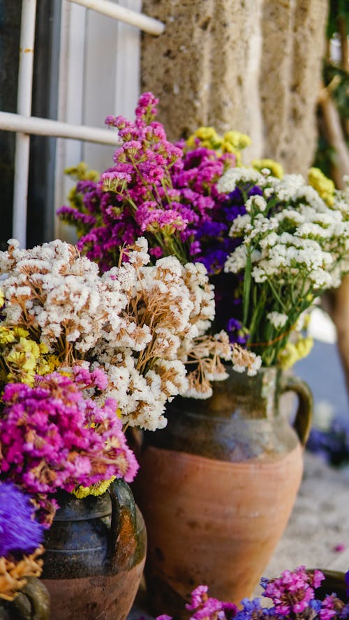 Fotos de stock gratuitas de arreglo floral, clasificado, flora