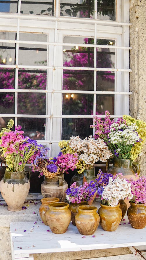 Free Beautiful Flowers displayed by the Window  Stock Photo