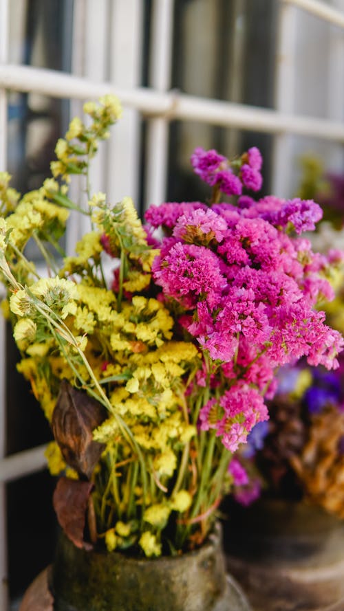 Close-up Photo of Vibrant Flowers 