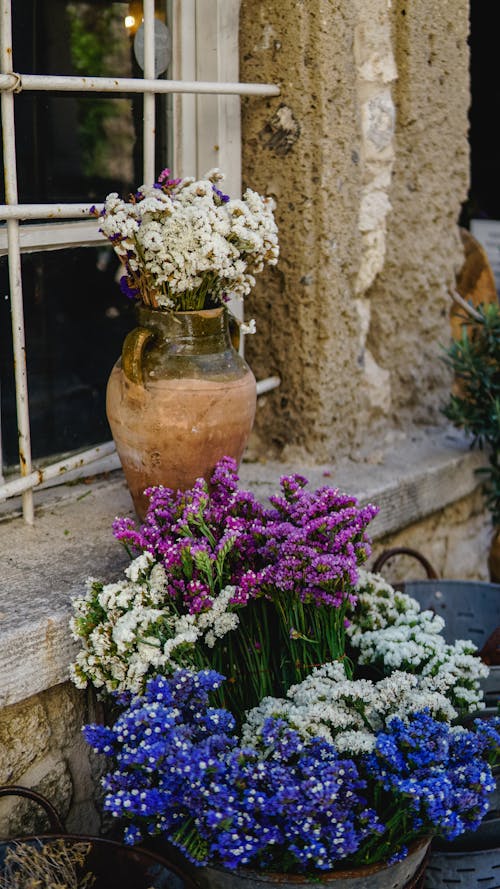 Beautiful Flowers displayed by the Window 