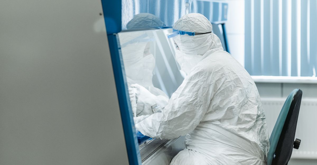 scientist examining laboratory mice in modern research facility