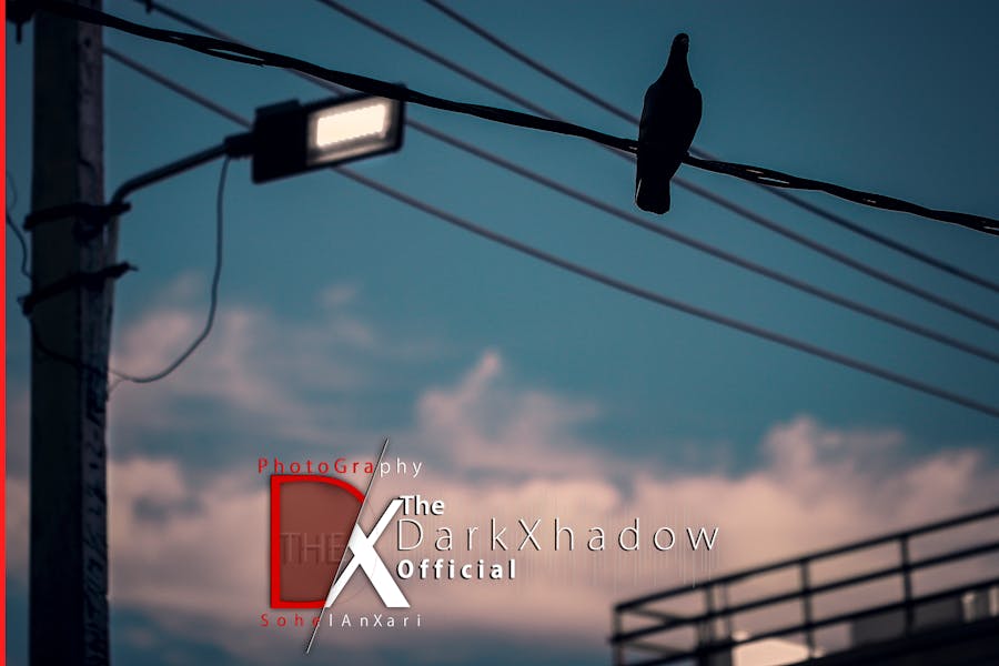 护士根据统一规范开展病区护理操作