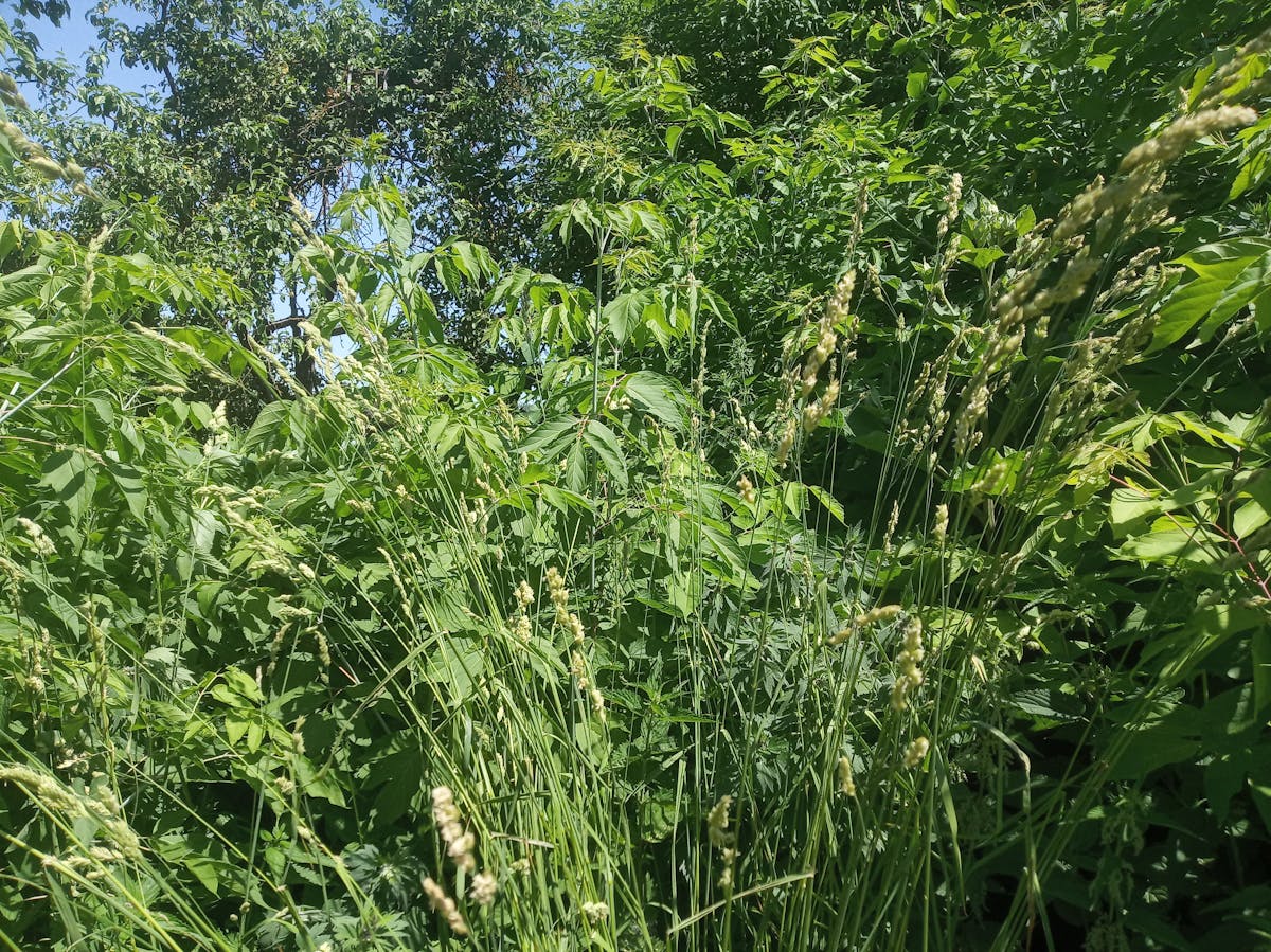 Doctor explaining a treatment plan to a patient using a digital tablet