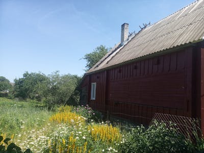 Microbiology culture plates
