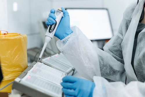 A Person Holding a Laboratory Tool