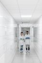 Free stock photo of aboratory, adult, analyzes