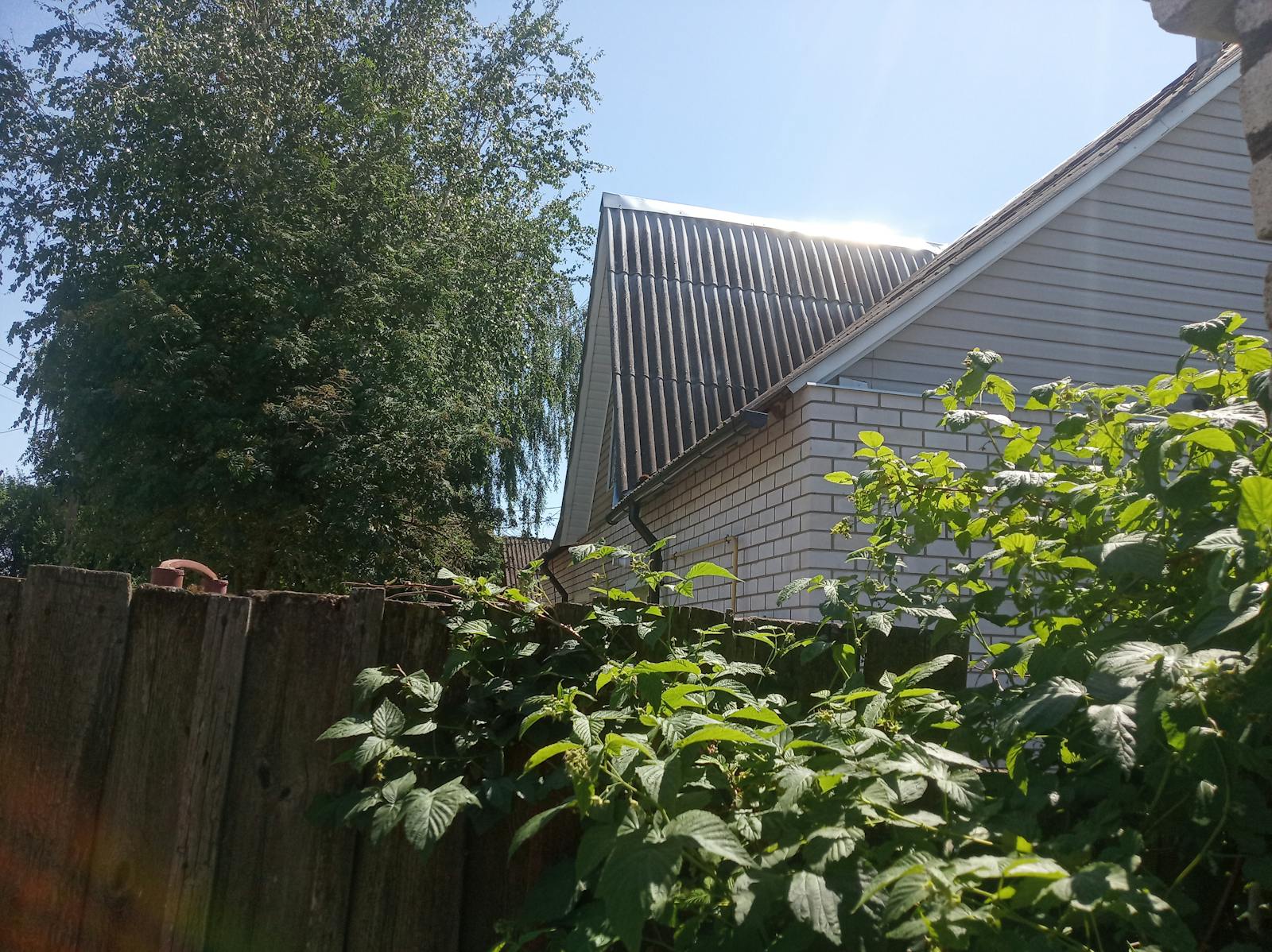 Laptop screen displaying zodiac signs and constellations