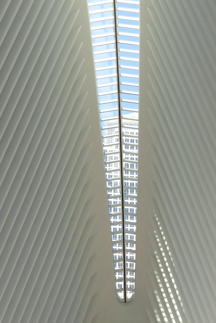 Ceiling Of The World Trade Center Transportation Hub