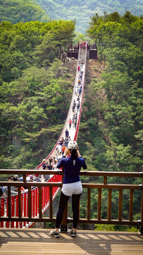 Free stock photo of ê ì ì ì œë nbsp ë ë, swing bridge