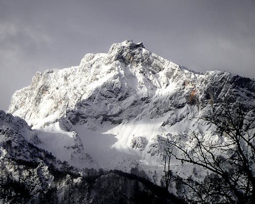 Ücretsiz Ağaçların Yakınında Karla Kaplı Dağ Kayalığı Manzara Fotoğrafı Stok Fotoğraflar