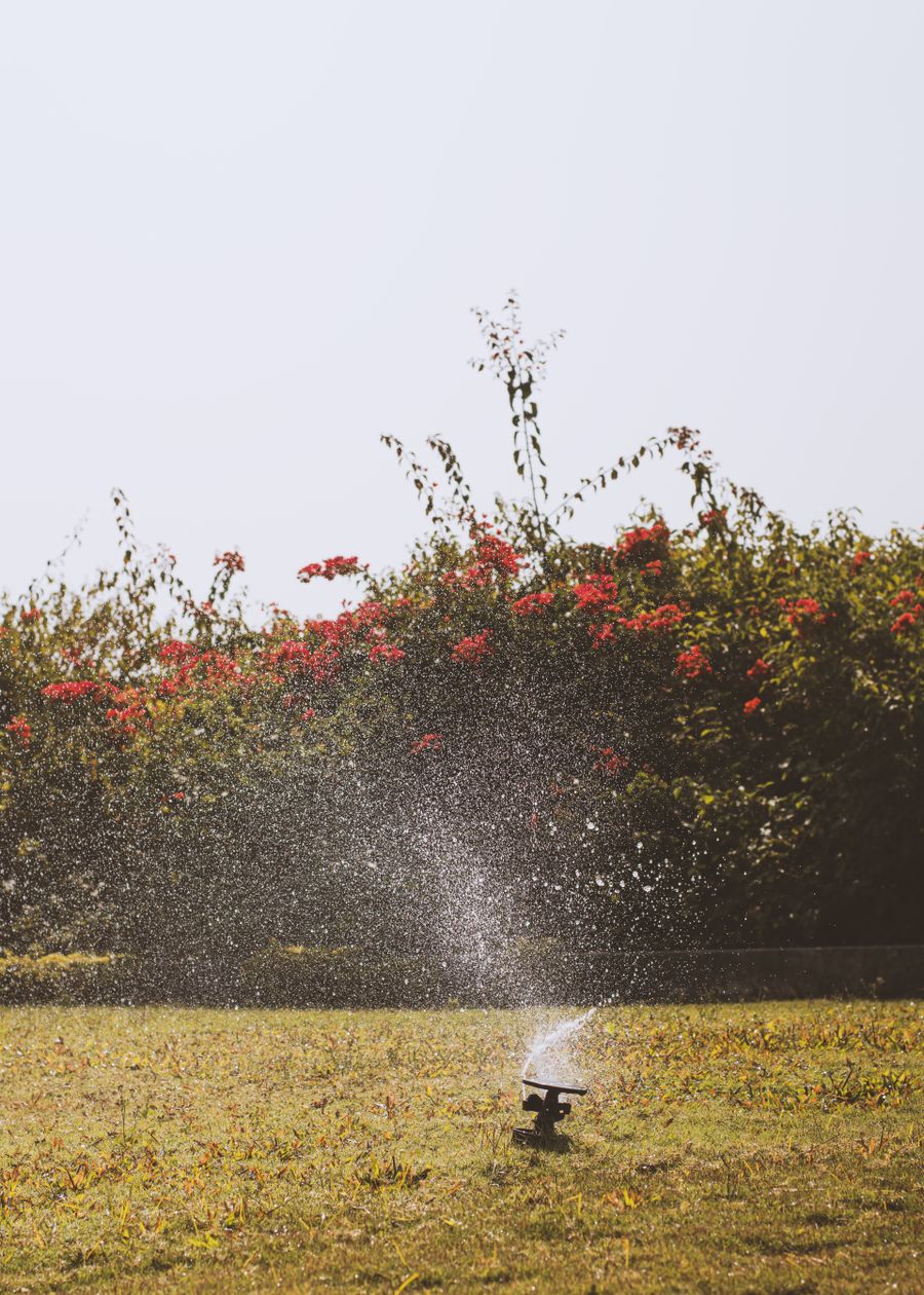 Irrigation and planting details