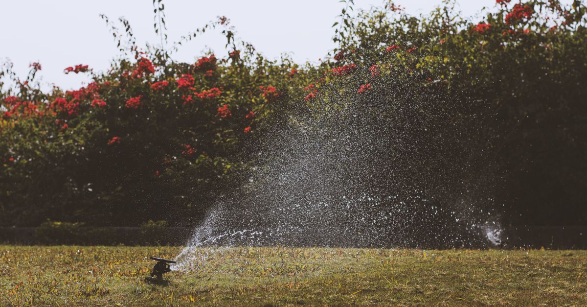 Choisir le meilleur type de système d'irrigation pour votre jardin