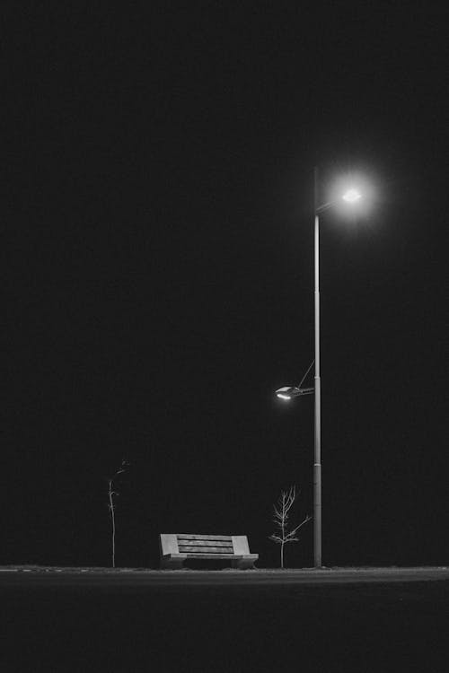 Monochrome Photo of a Bench Near a Street Lamp