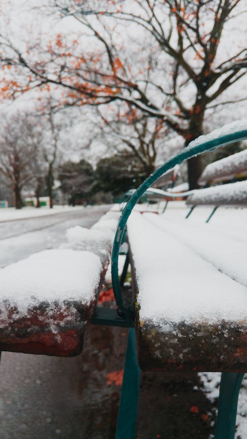 Free stock photo of bench, cold, park Stock Photo