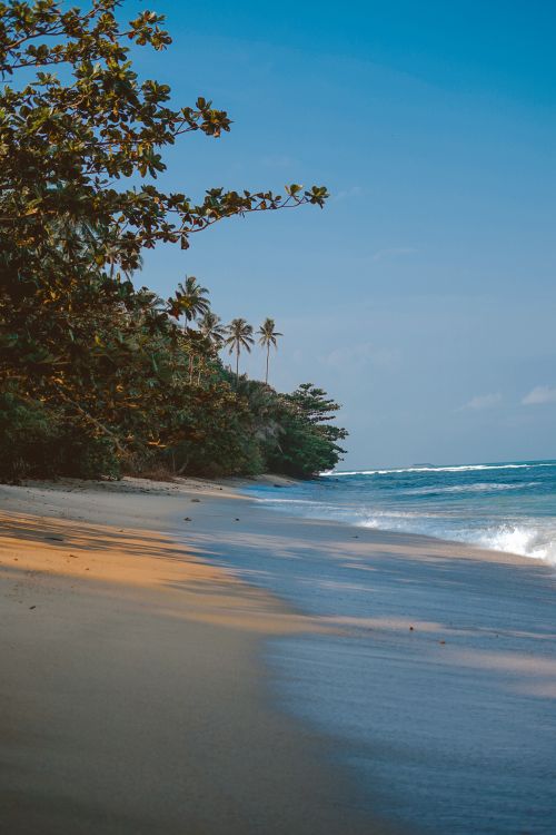 Free Serene tropical beach with golden sands and lush greenery under a clear blue sky, perfect for travel inspiration. Stock Photo