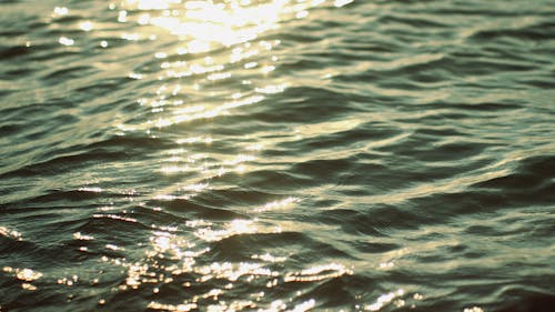 Photo of Sunlight Hitting a Body of Water