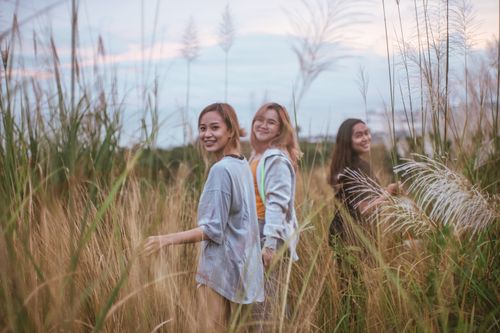 Free Three young women smiling in a tall grassy field, enjoying the outdoors on a mild day. Stock Photo