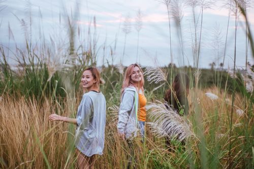 Free Two women enjoying a carefree moment walking amidst tall pampas grass. Stock Photo