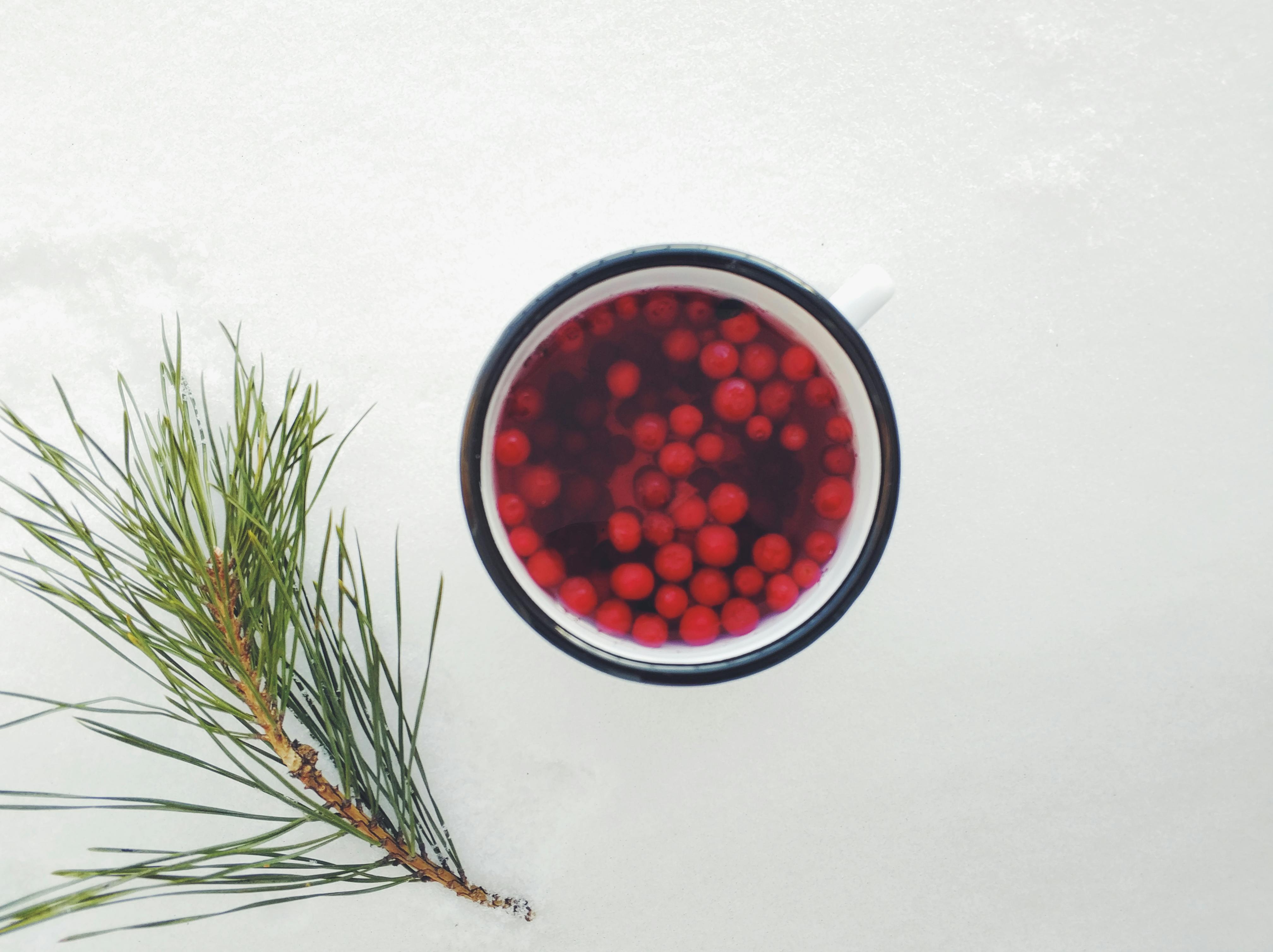 一杯温暖浆果饮料置于雪地上，搭配松枝，带来冬日的暖意