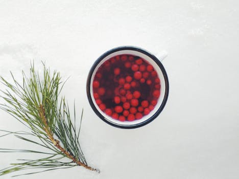 一杯温暖浆果饮料置于雪地上，搭配松枝，带来冬日的暖意