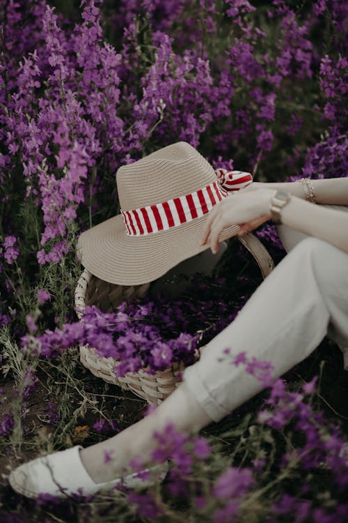 Photos gratuites de bonnet, chapeau de soleil, couleur lavande