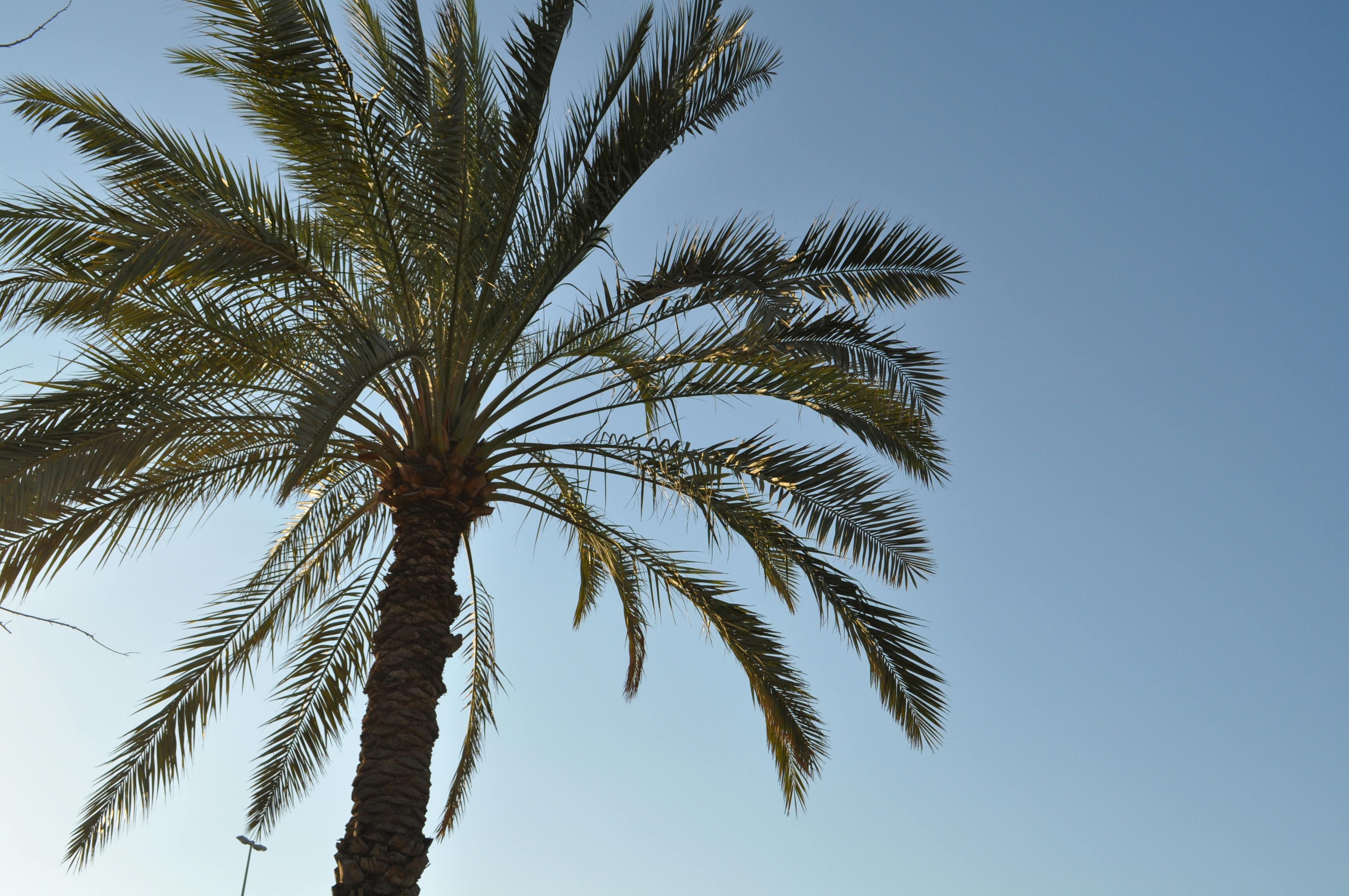 Free stock photo from Jan · Pexels