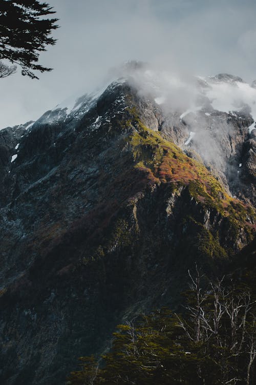 懸崖, 有薄霧的, 美景 的 免費圖庫相片