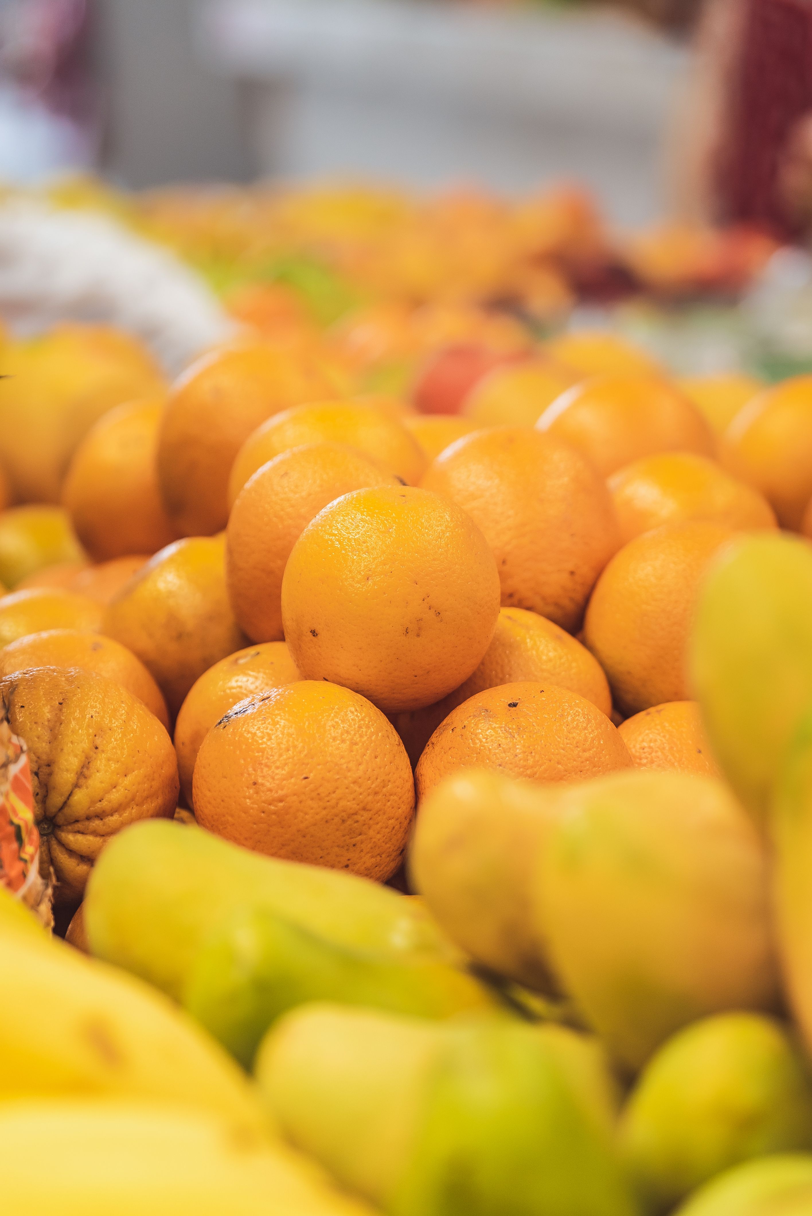 Hortifruti