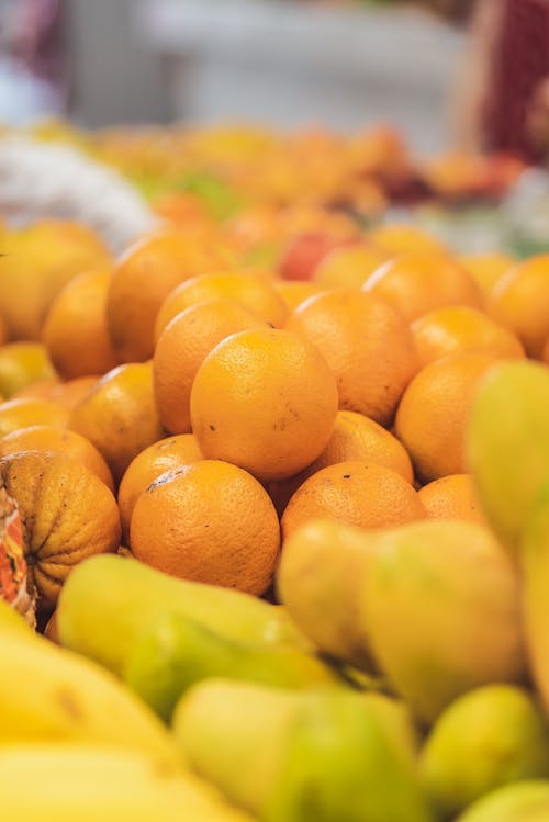 Close-Up Shot of Oranges