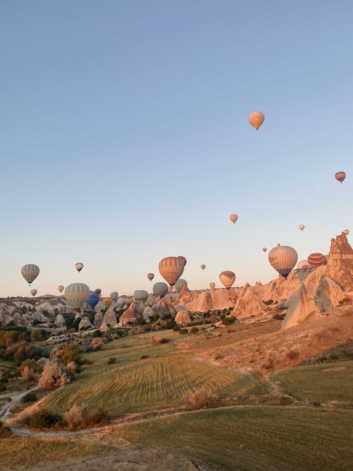 Foto d'estoc gratuïta de cappadocia, gall dindi, globus aerostàtics