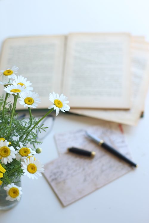 Free Elegant arrangement of daisies, an open book, and a pen on a light surface. Ideal for themes of writing and creativity. Stock Photo