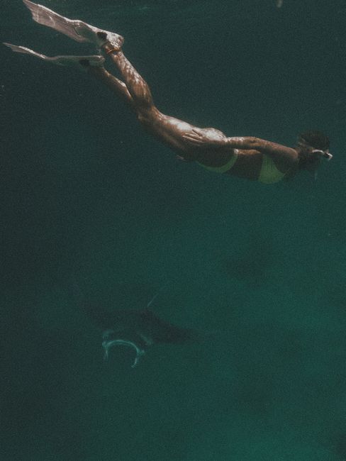 A woman snorkeling underwater with a manta ray, showcasing aquatic adventure and marine life.