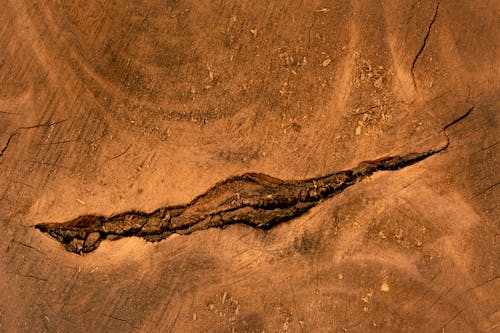 Foto d'estoc gratuïta de àrid, clivella, desert