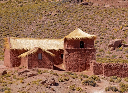 Brown Wooden House on Brown Field