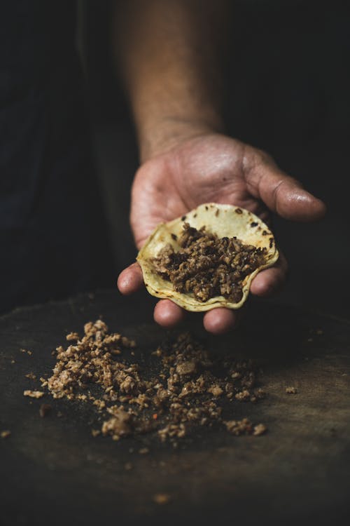 Free Person Holding Tacos Stock Photo
