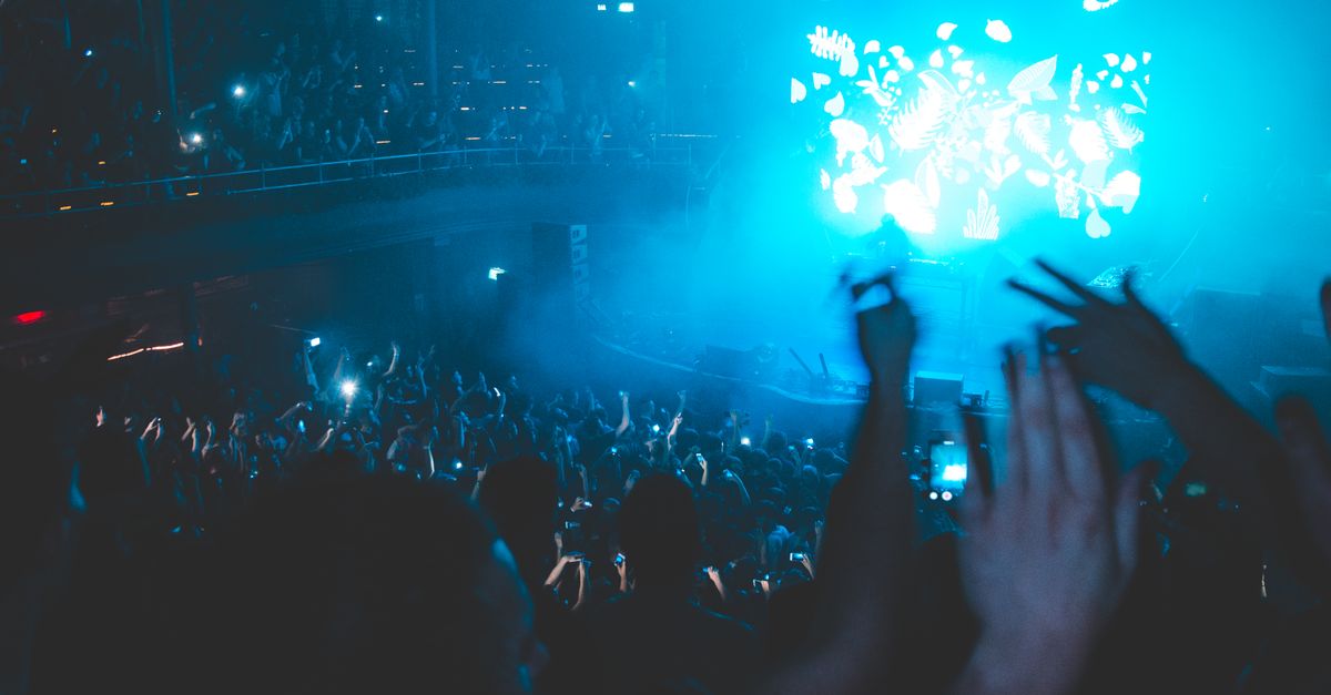 Fun Performing People Having Fun at the Concert · Free Stock Photo