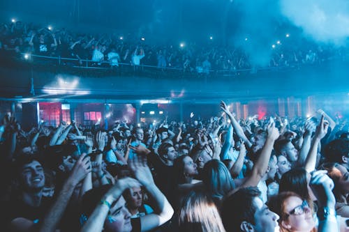 People Having Fun at the Concert