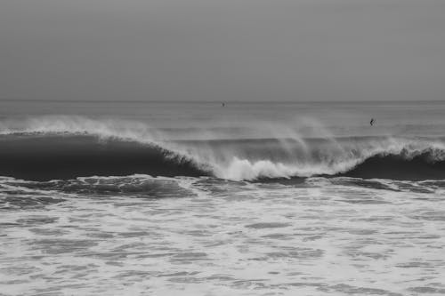 Grayscale Photo of Ocean Waves