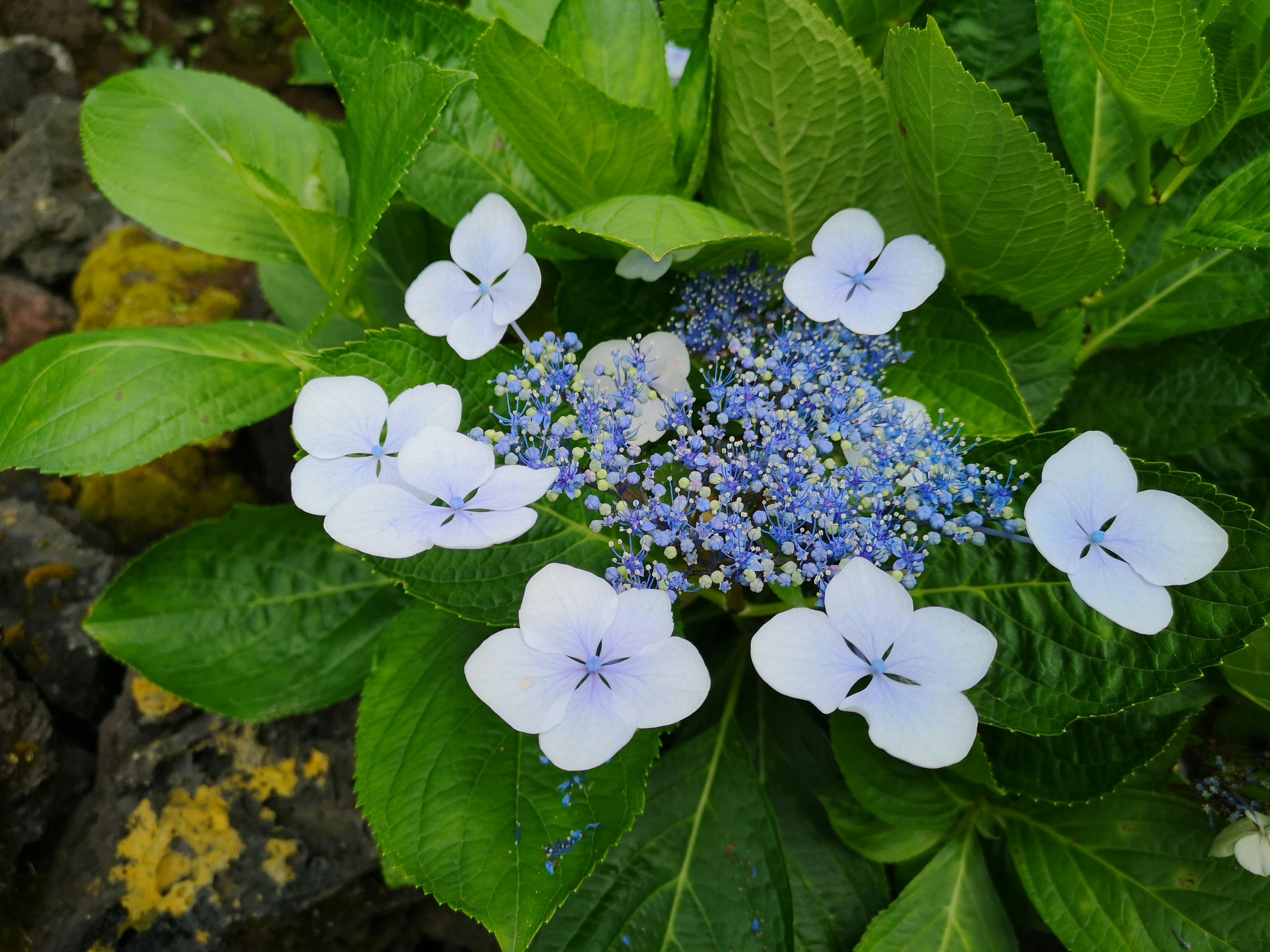 Abstract representation of a global digital network symbolizing the future of computing