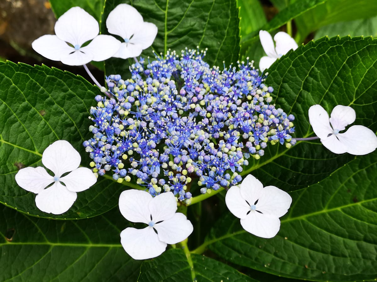 Person washing hands at a sink with soap and running water