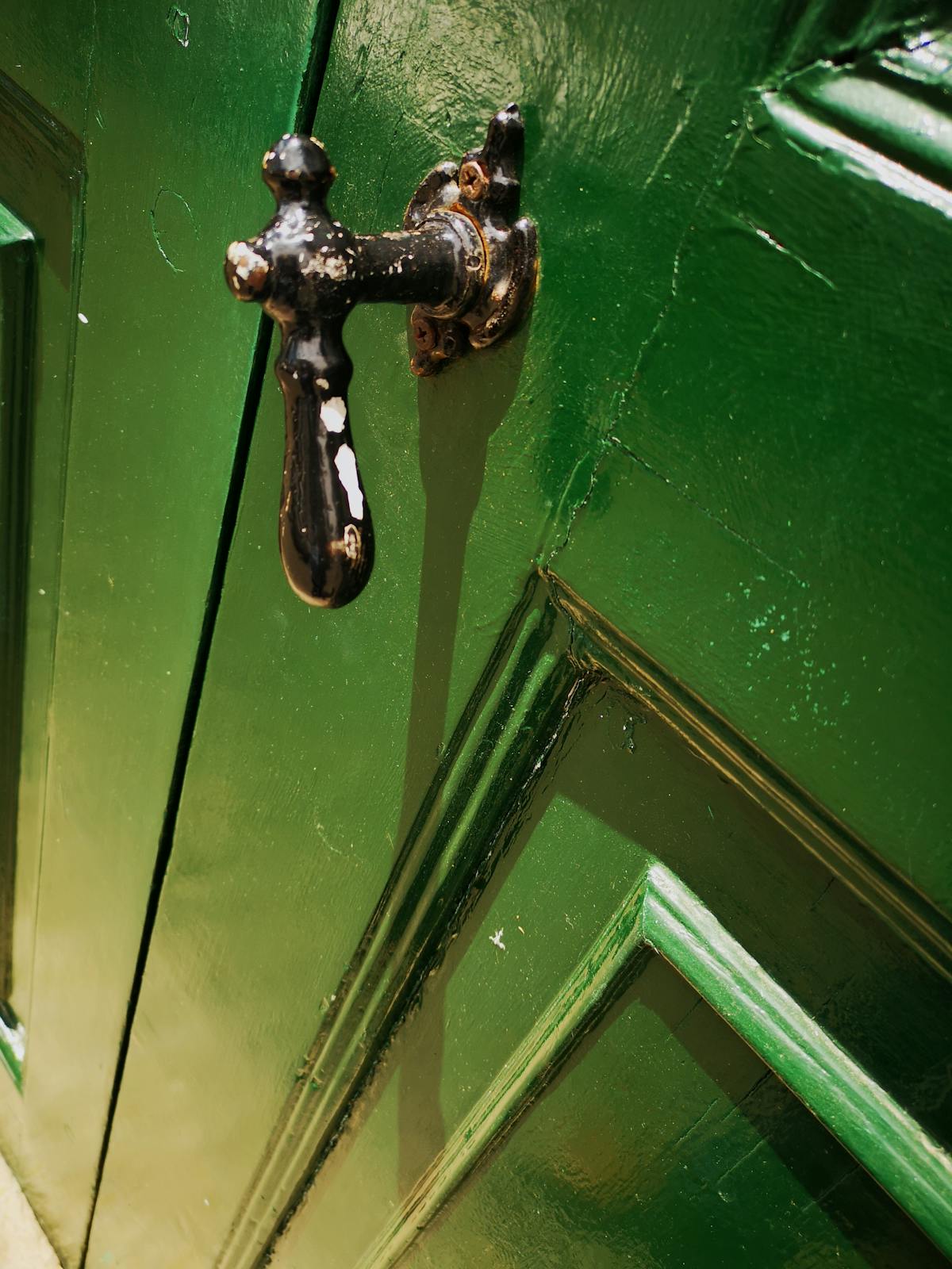 Graph on a laptop screen showing weight-loss progress over time