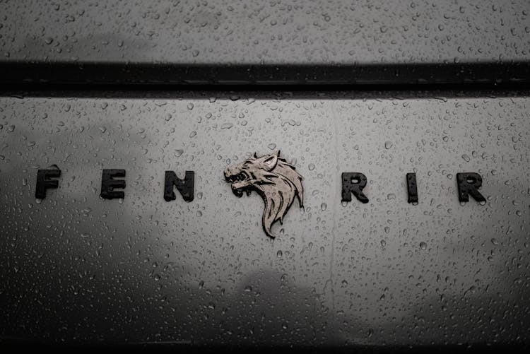 W Motor Fenyr Logo On A Wet Car 