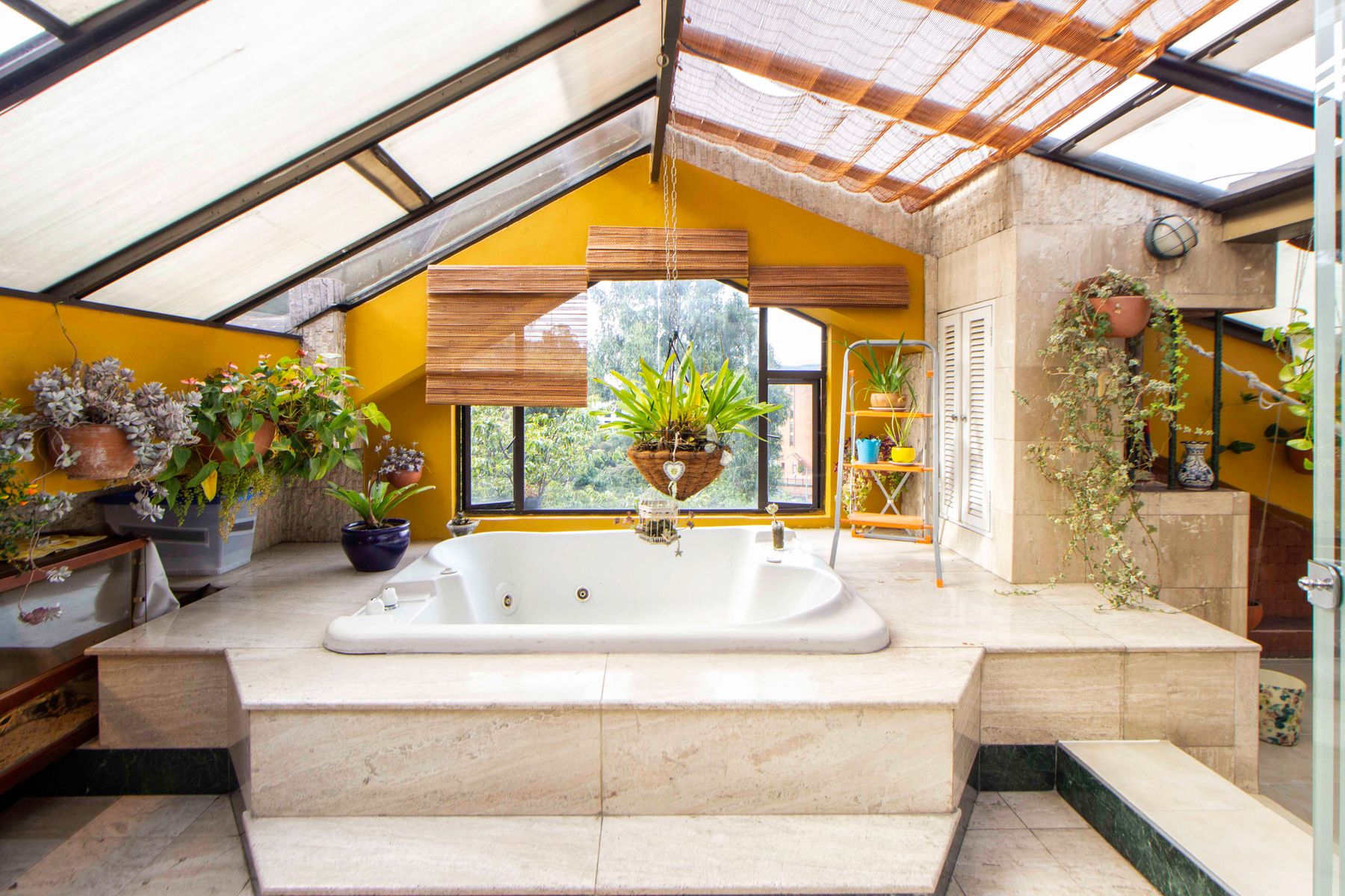 Warm interior with healthy plants grouped around suitable natural light