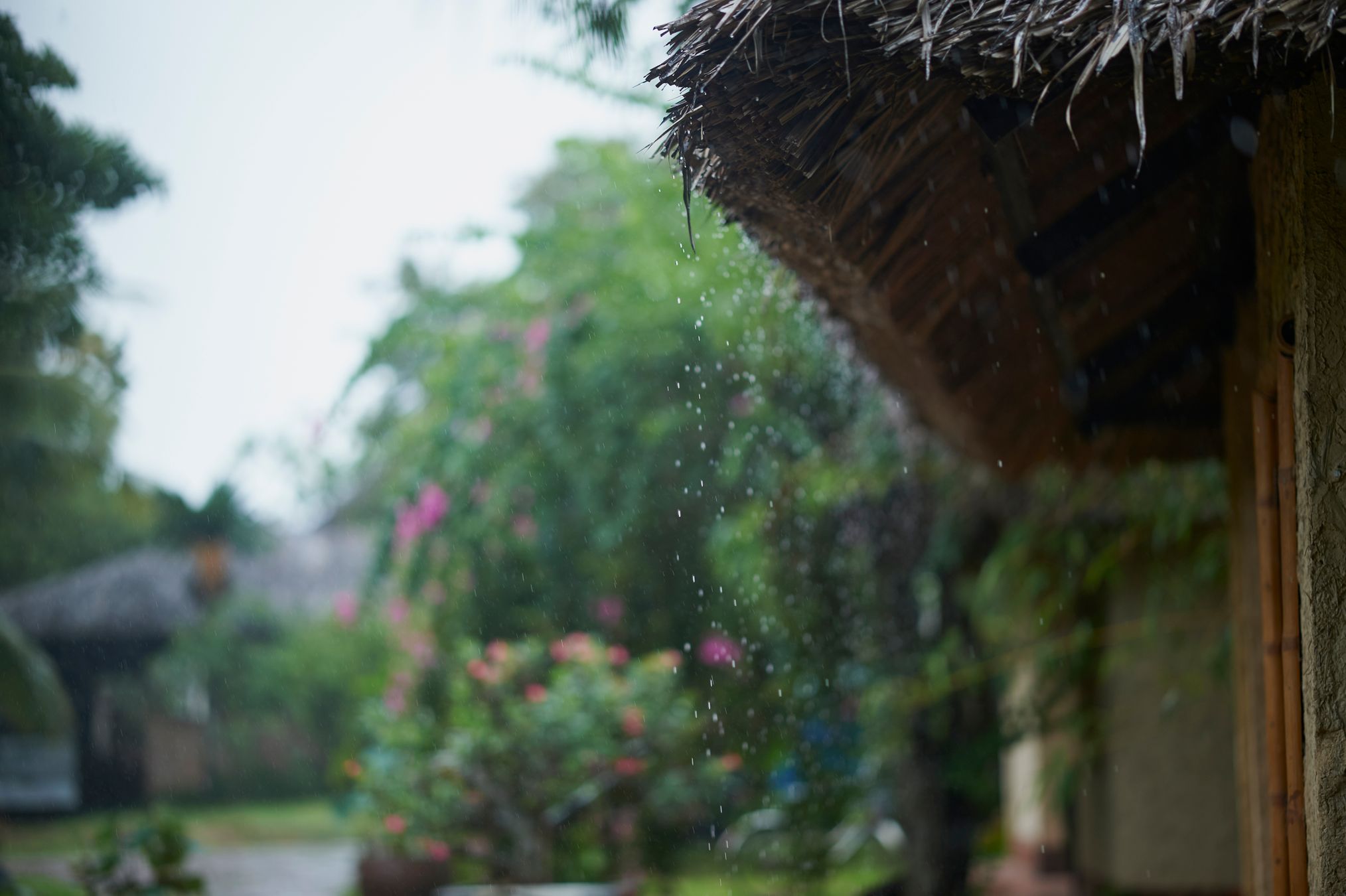 Airbnb Follows Vrbo and Marriott With Rain-Refund Guarantee