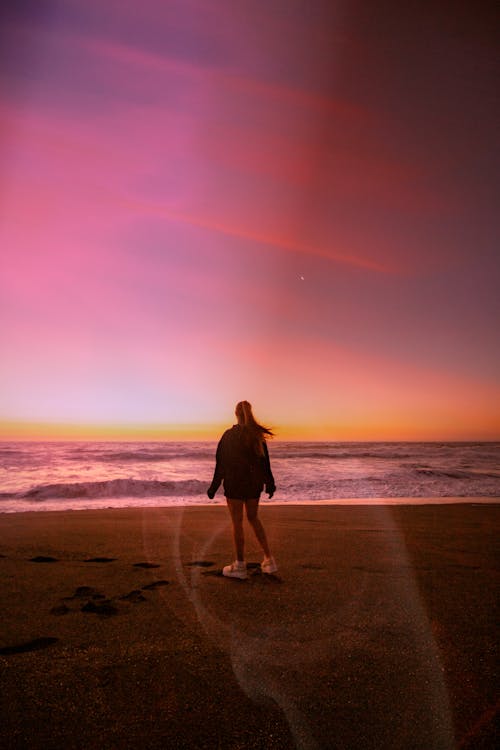 Person Walking On Seashore · Free Stock Photo